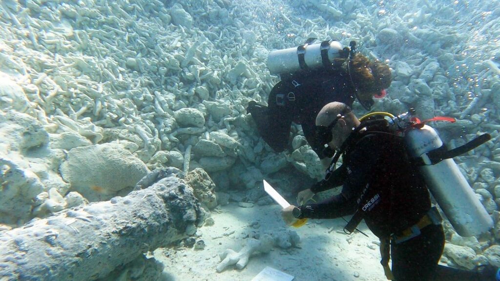 Mysterious Russian Cannons Discovered Underwater In The Bahamas