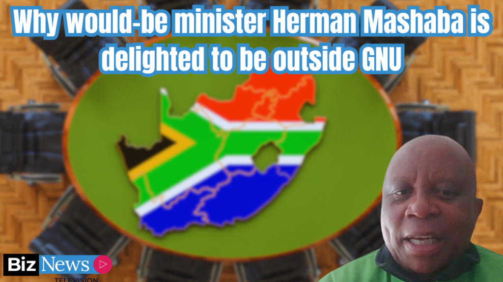 Why would-be minister Herman Mashaba is delighted to be outside GNU