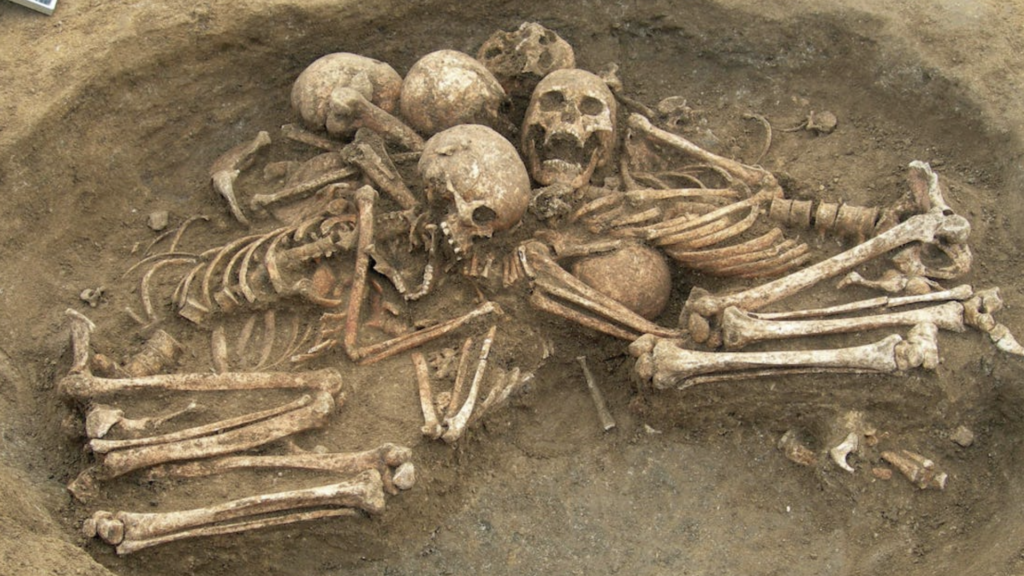 4,500-year-old tomb in France reveals secrets of how ‘European genome’ came to be