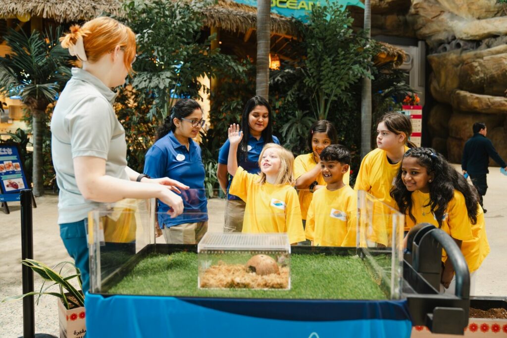 SeaWorld® Yas Island, Abu Dhabi launches educational four-day summer camp