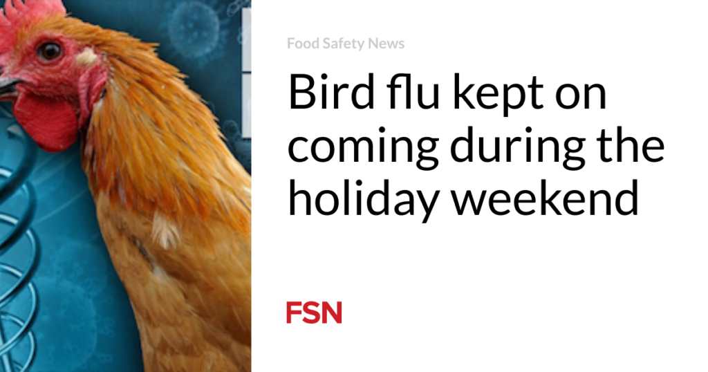 Bird flu kept on coming during the holiday weekend