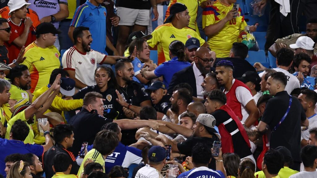 Núñez, Uruguay players jump in stands after loss