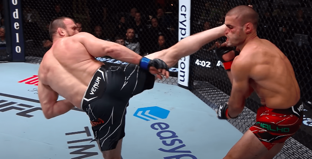 Watch: Free Fight — Muslim Salikhov vs. Andre Fialho