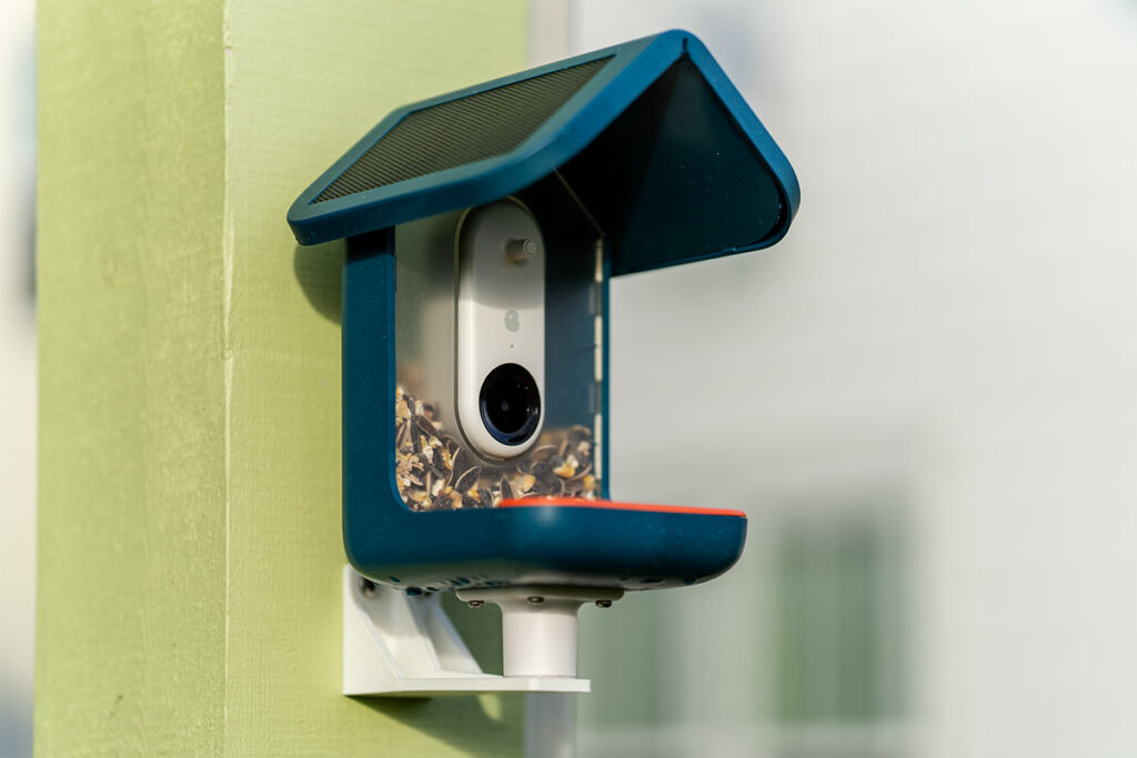 The Bird Buddy is the best bird feeder camera at its best price ever for Prime Day