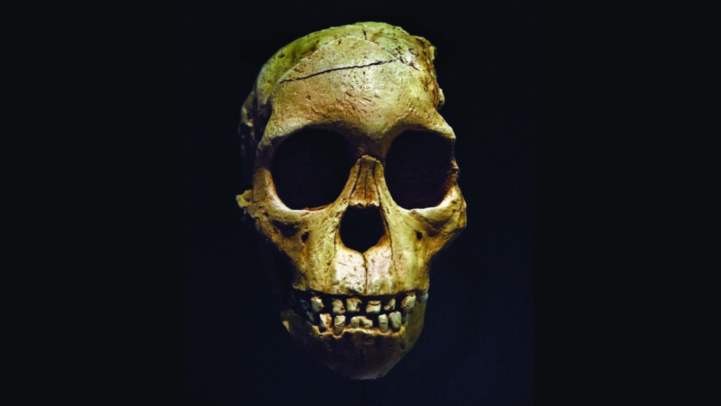 Famous Taung Child fossil from South Africa is 2.58 million years old, new study finds