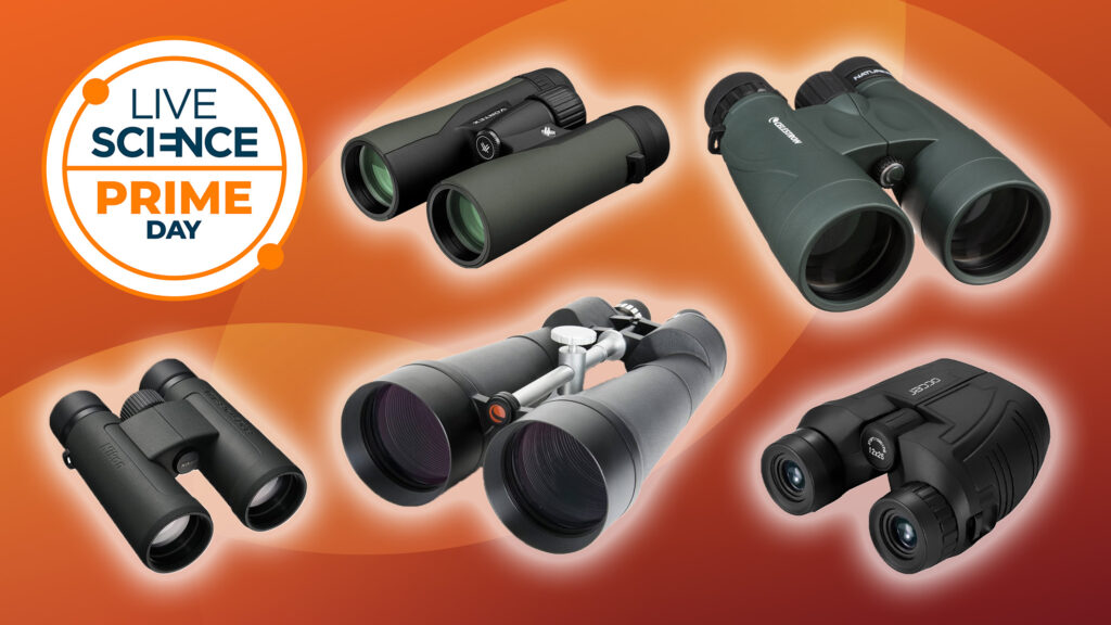 These are the cheapest binocular deals you can buy on the last day of Prime Day