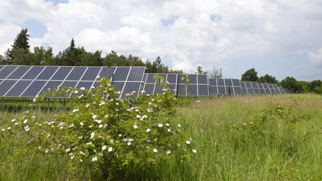 There’s a right and a wrong way to build a solar farm