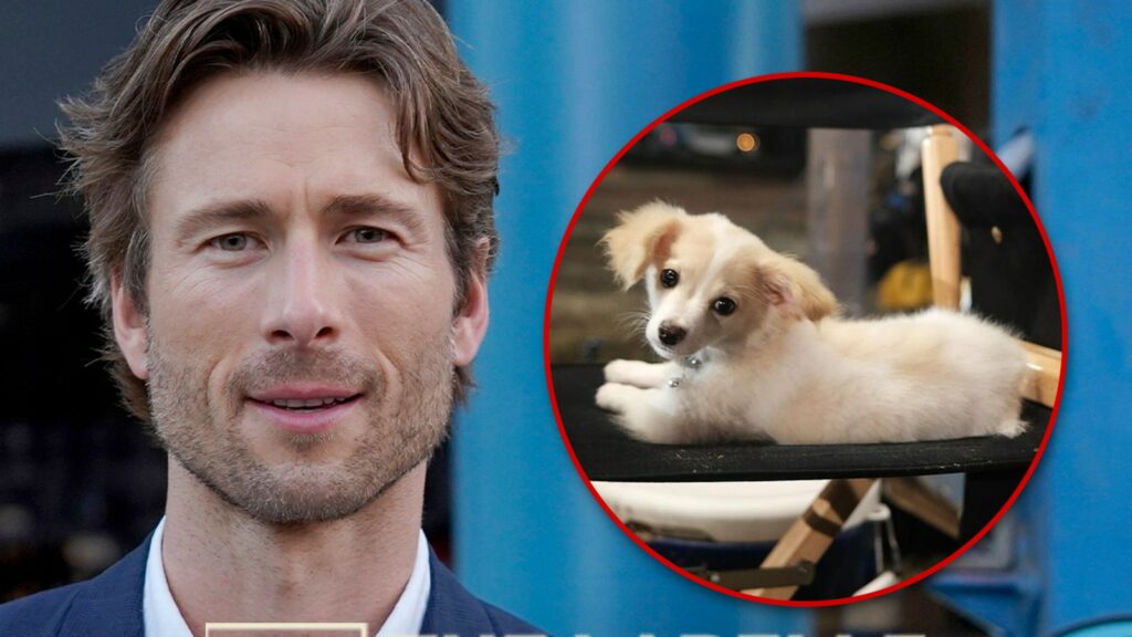 Glen Powell Found Rescue Pup Brisket on IG, Boosts Recue Org’s Profile