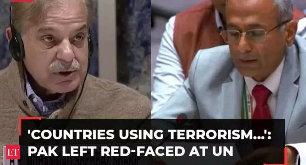 ‘Using terrorism as instrument of…,’ Pakistan left red-faced at UN on terror-sponsoring policies