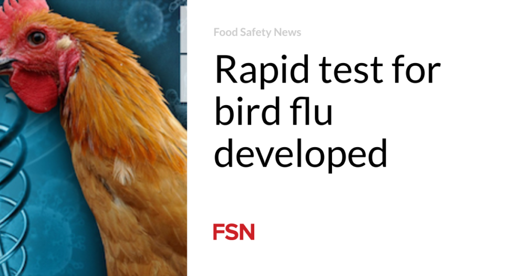 Rapid test for bird flu developed