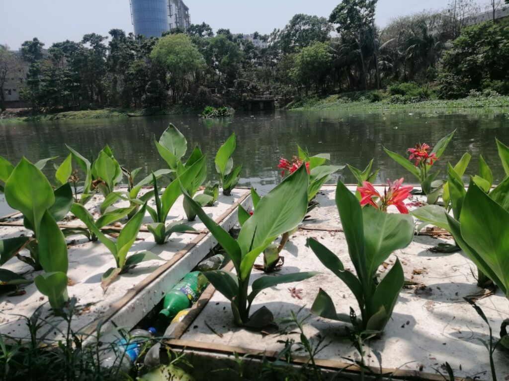 Polluted Lakes Are Being Cleansed Using Floating Wetlands Made of Trash