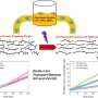 Surface oxygen functionality controls selective transport of metal ions through graphene oxide membranes