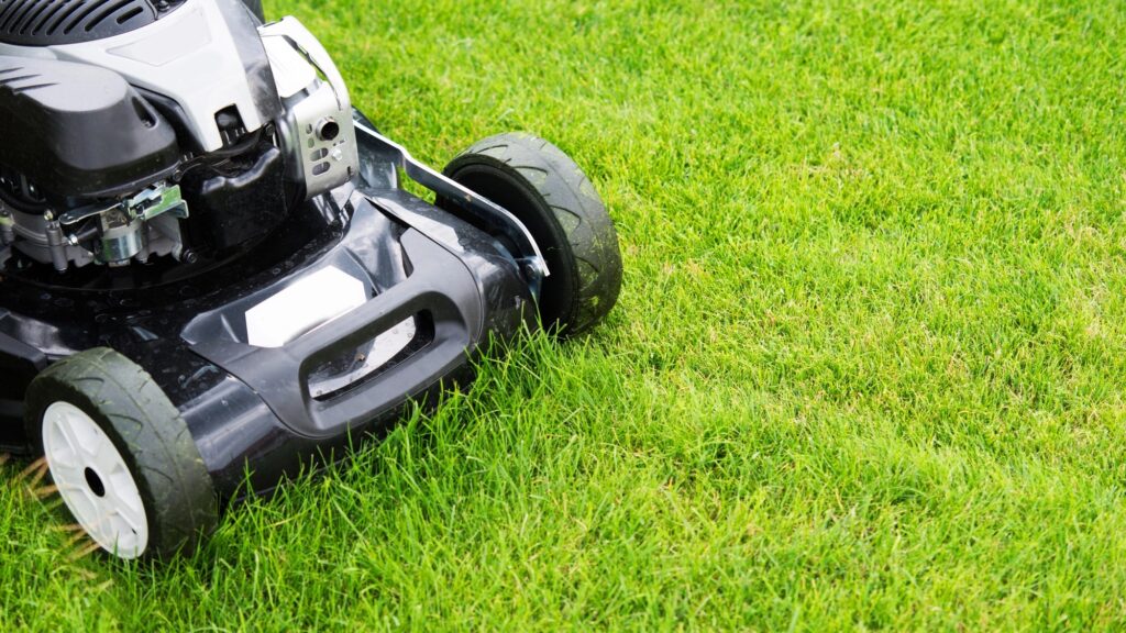 You’re probably mowing your lawn wrong