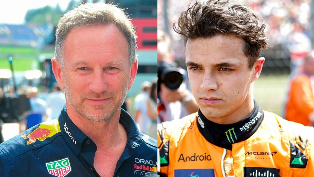 Red Bull team principal Christian Horner suggests McLaren should have let Lando Norris win Hungarian Grand Prix | F1 News | Sky Sports