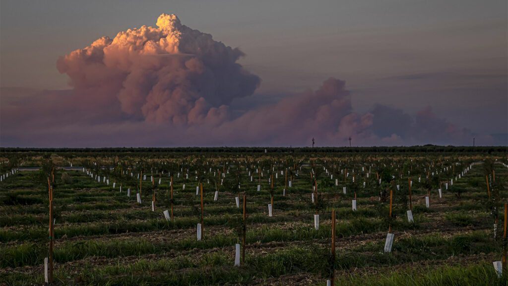 California’s Park Fire is spawning its own smoke thunderclouds