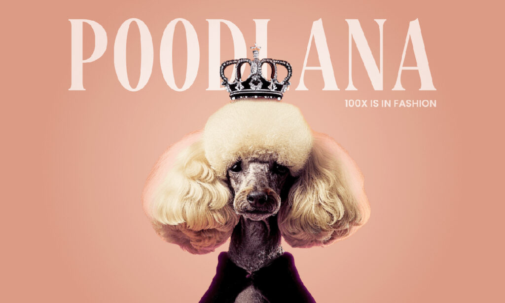 $3m in 11 Days: Poodlana’s Rapid Fundraising Success