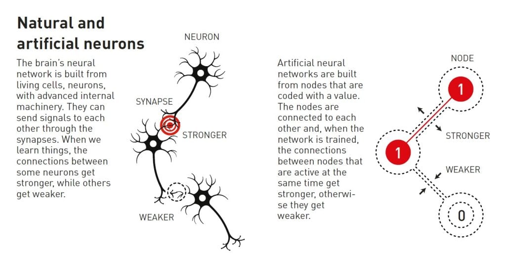 Representation comparing natural⁢ neurons versus artificial ones