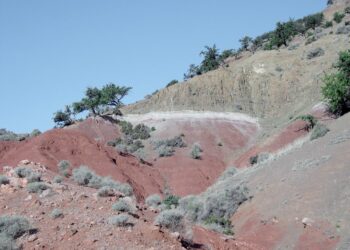 Scientists thought a warming Earth led to the age of the dinosaurs. Turns out that might be wrong