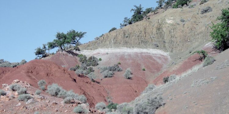Scientists thought a warming Earth led to the age of the dinosaurs. Turns out that might be wrong