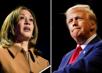 Live updates: Donald Trump, Kamala Harris election news