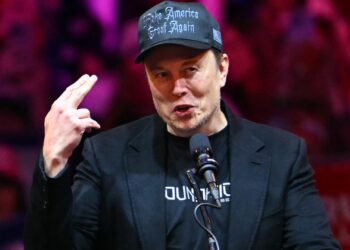 Elon Musk, Trump allies say tariff plans could cause economic pain