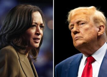 Live updates: Election news on Trump rally in Butler and Harris in North Carolina