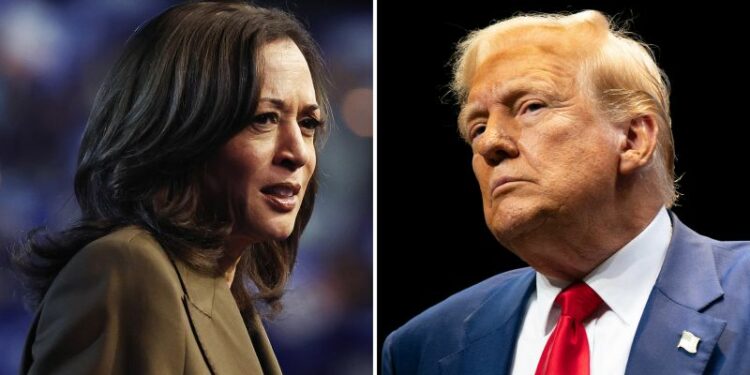 Live updates: Election news on Trump rally in Butler and Harris in North Carolina