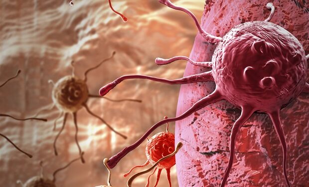 NCCN unveils preliminary findings on Health Equity Report Card tool