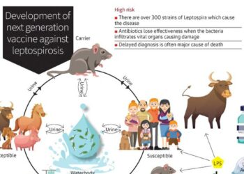 NIAB scientists working on next generation vaccine against ‘Leptospirosis’