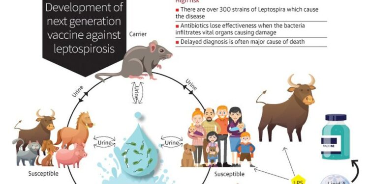 NIAB scientists working on next generation vaccine against ‘Leptospirosis’