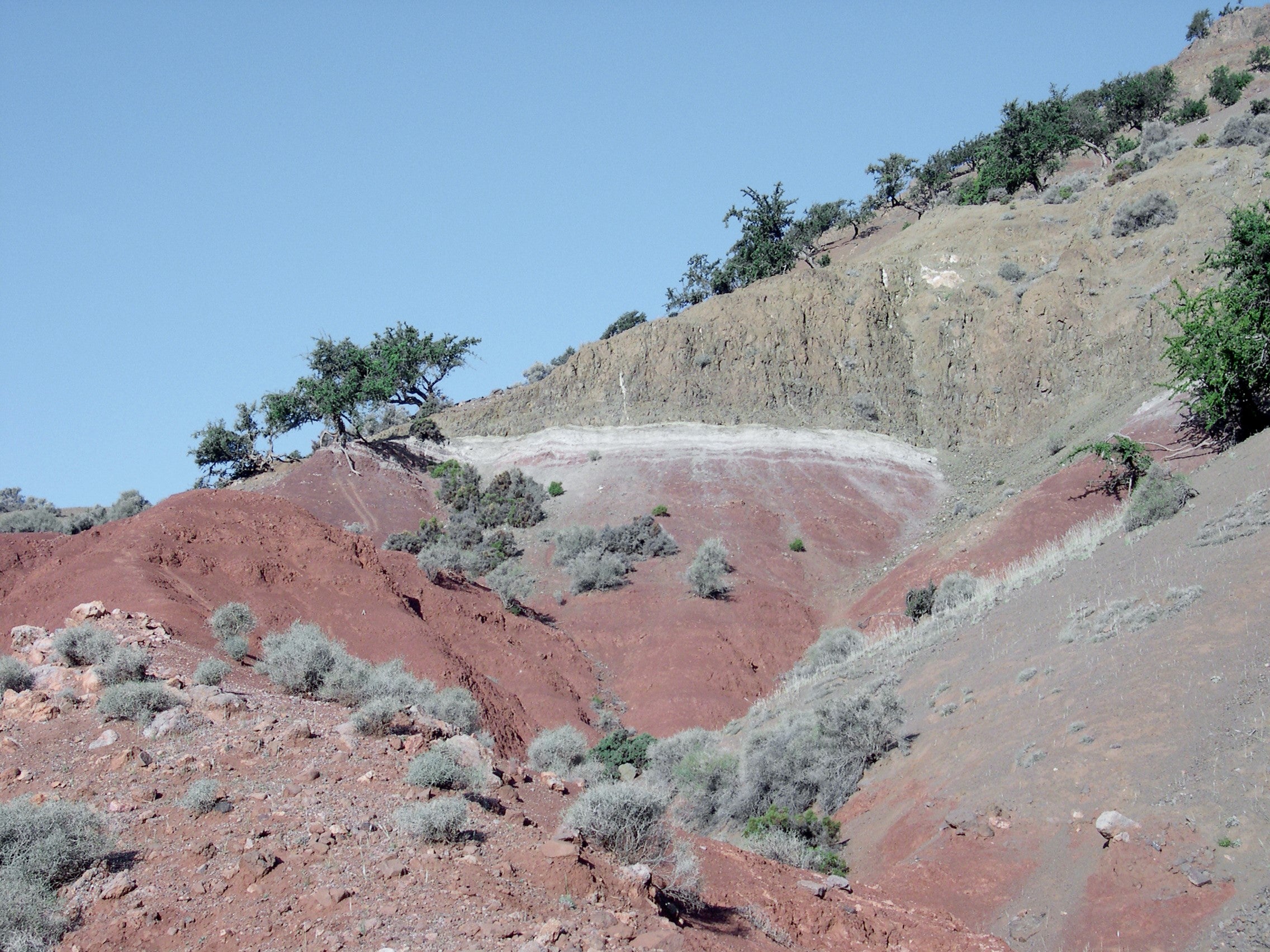 Red sediments in Morocco are connected with ⁣the End Triassic Extinction event responsible‌ for diminishing three-quarters of ⁣marine and terrestrial species more than 200 million ⁣years ago.