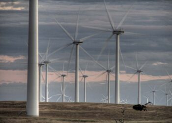 Unhealthy competition in green technology