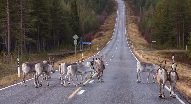 Finland is again ranked the ⁤happiest country in the⁢ world. The US falls to its lowest-ever position‌ - ⁣ABC ⁣News