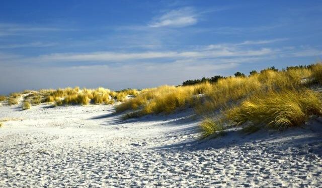 Coastal B.U.D.S hosts kickoff to World Down Syndrome Day – WECT