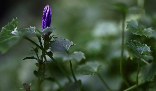 Early Bird Registration Launches for Optometry’s Meeting 5th World Congress of Optometry – Vision Monday