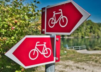 Ultrafast on-demand exciton formation in a single-molecule junction by tailored terahertz pulses – Science