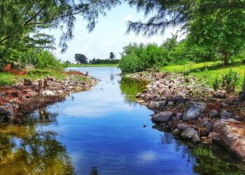 Will Aaron Rodgers team up with DK Metcalf and George Pickens in Pittsburgh after Rams re-up with Matthew Stafford? – Yahoo Sports