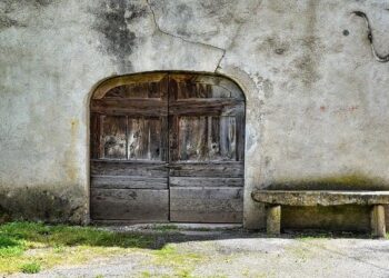 Former IRS managers weigh in on agency cuts – Bay News 9