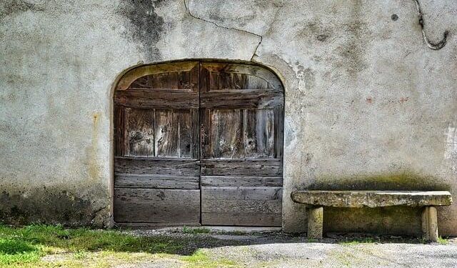 Former IRS managers weigh in on agency cuts – Bay News 9