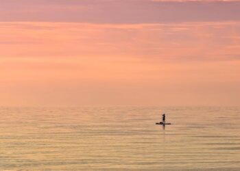 Thousands gather across U.S. and world in Stand Up for Science events – Science