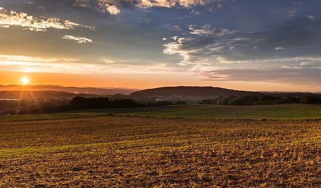 Rural revitalization composes symphony of ecology in E China’s Wuyuan – CGTN