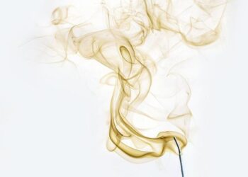 What Do Mummies Smell Like? Pretty Good, Actually – Scientific American