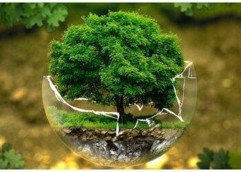 Ecology names new director for Office of Columbia River – Washington State Department of Ecology