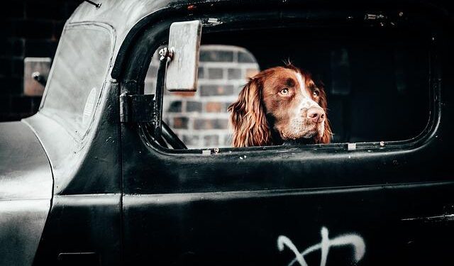 Lifestyle – The Independent