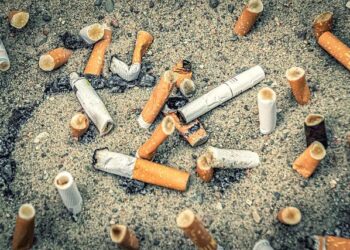 Ecology of Harmful Algal Blooms – U.S. EPA.gov