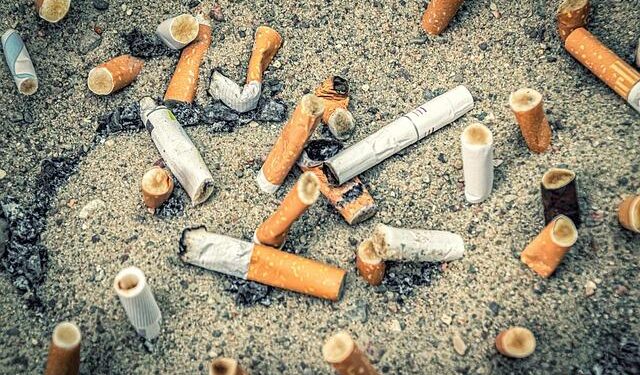 Ecology of Harmful Algal Blooms – U.S. EPA.gov