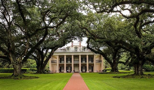 New Orleanians are fed up with city leadership. Who will they pick to be the next mayor? – NOLA.com