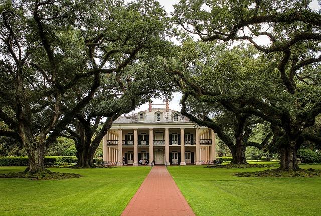 New Orleanians are fed up with city leadership. Who will they pick to be the next mayor? – NOLA.com