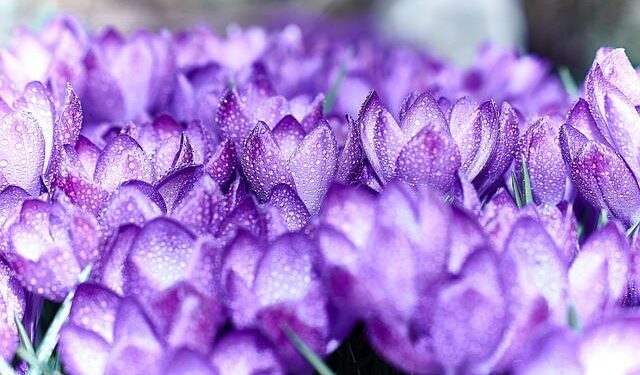 Evidence that 40Hz gamma stimulation promotes brain health is expanding – MIT News