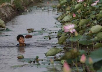 The Evolving Science Of How Childhood Trauma Shapes Adults – Science Friday